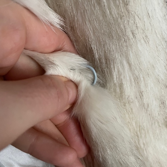 💯 Real Rabbit  Fur Teddy Jacket - Picture 8 of 9